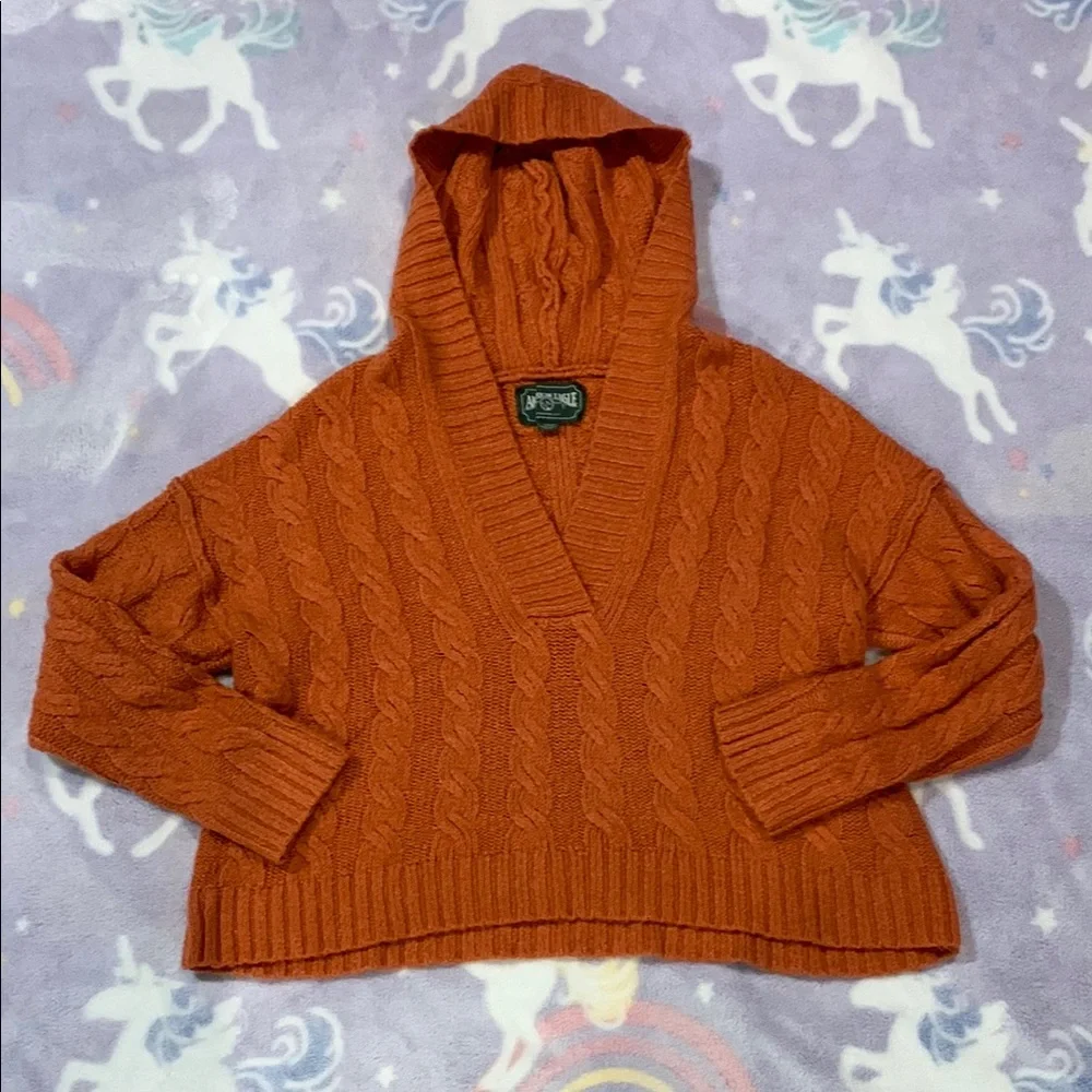 American Eagle Soft & Cozy Hoodie Sweater Coral - Picture 4 of 9